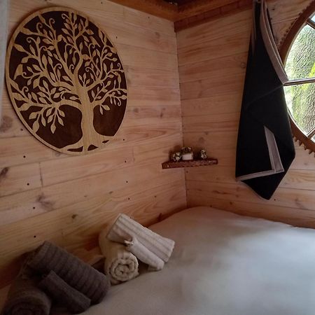 La Roulotte Du Petit Paradis Saint-Rémy-de-Provence 外观 照片
