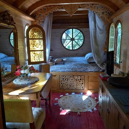 La Roulotte Du Petit Paradis Saint-Rémy-de-Provence 外观 照片