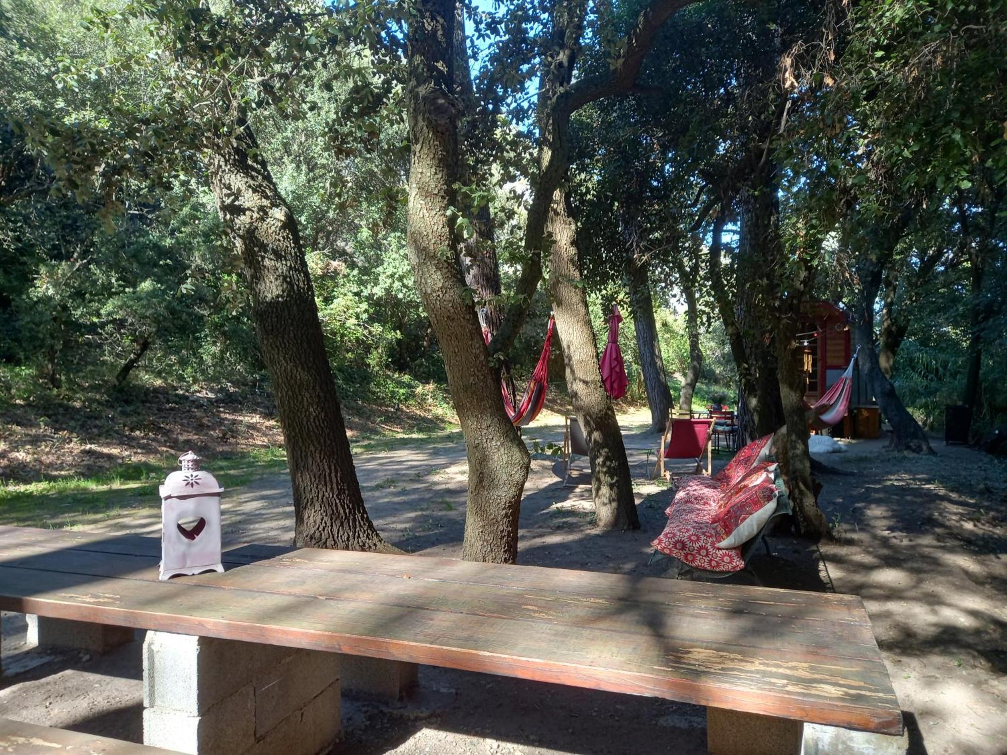 La Roulotte Du Petit Paradis Saint-Rémy-de-Provence 外观 照片