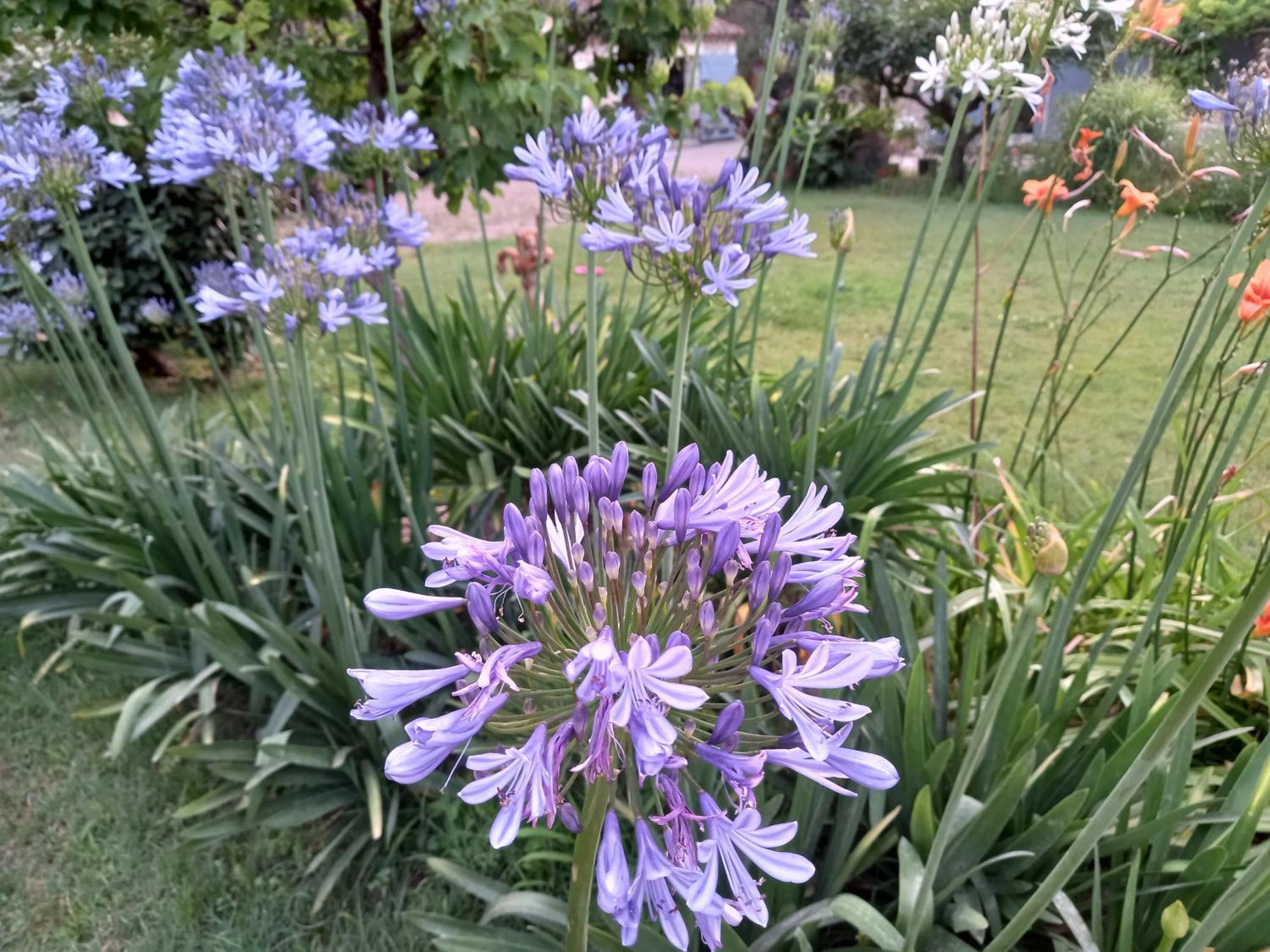 La Roulotte Du Petit Paradis Saint-Rémy-de-Provence 外观 照片
