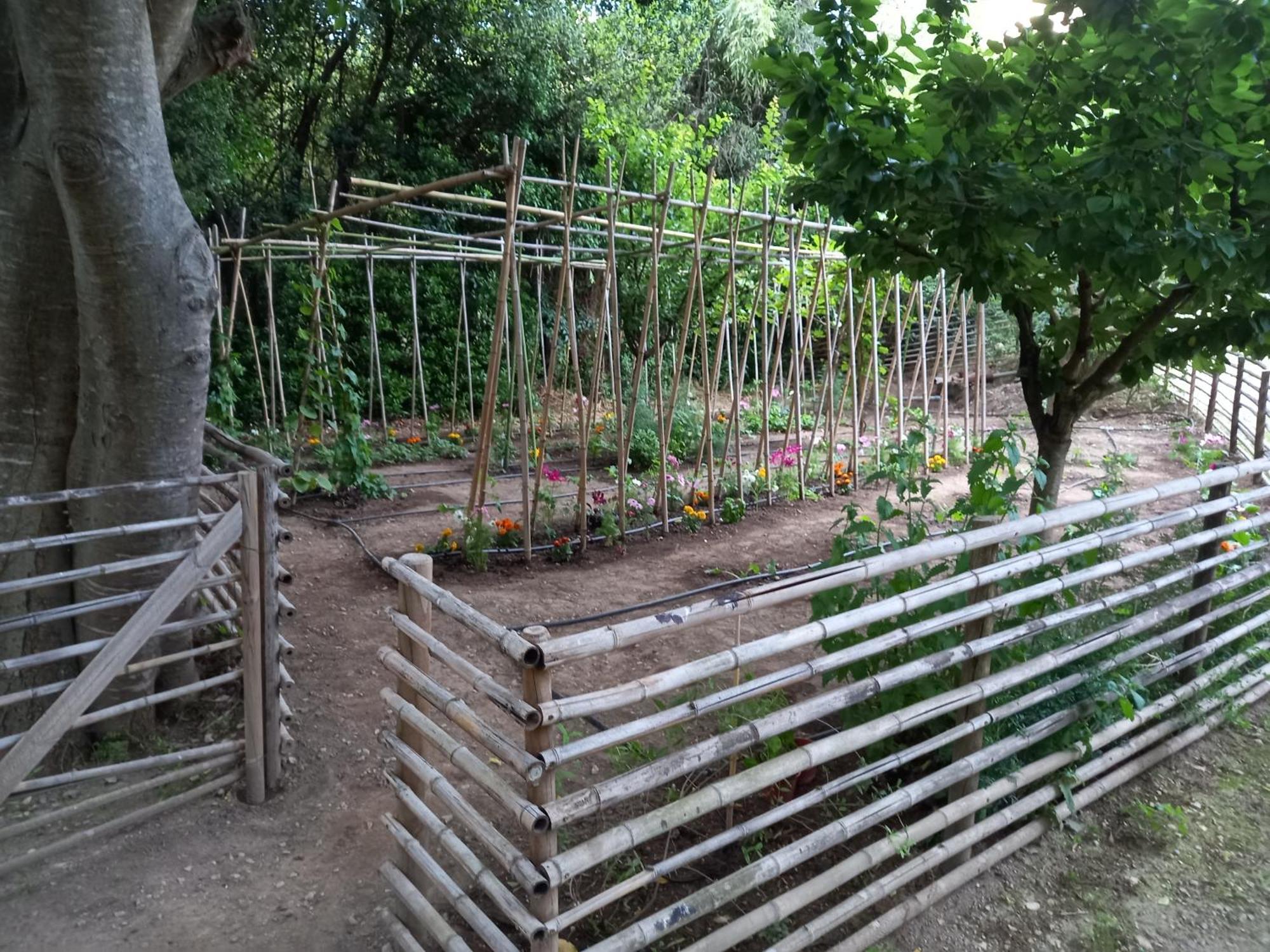 La Roulotte Du Petit Paradis Saint-Rémy-de-Provence 外观 照片