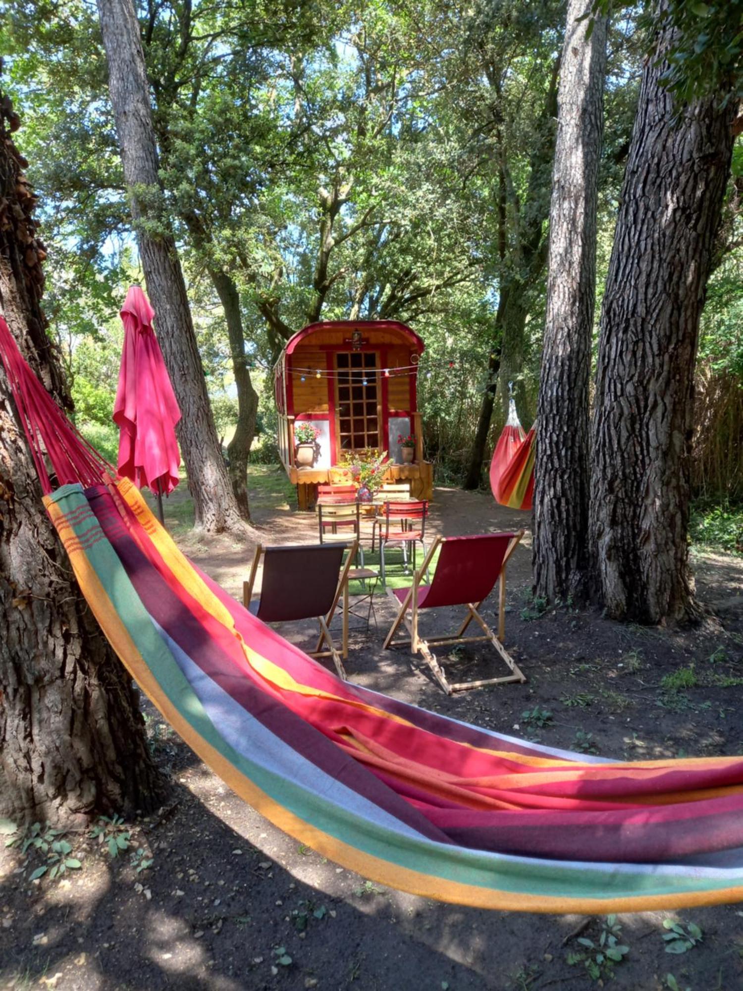 La Roulotte Du Petit Paradis Saint-Rémy-de-Provence 外观 照片