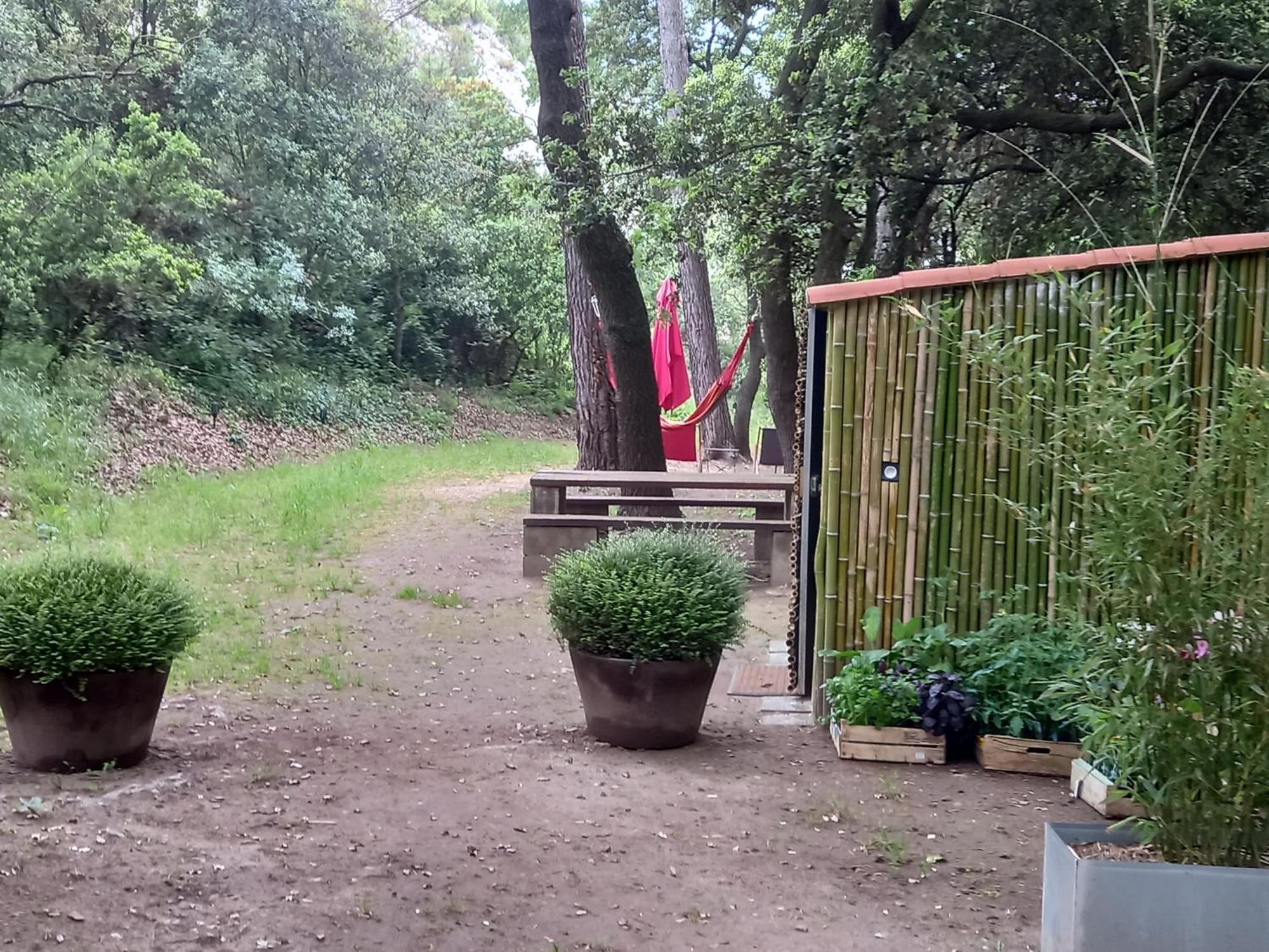 La Roulotte Du Petit Paradis Saint-Rémy-de-Provence 外观 照片
