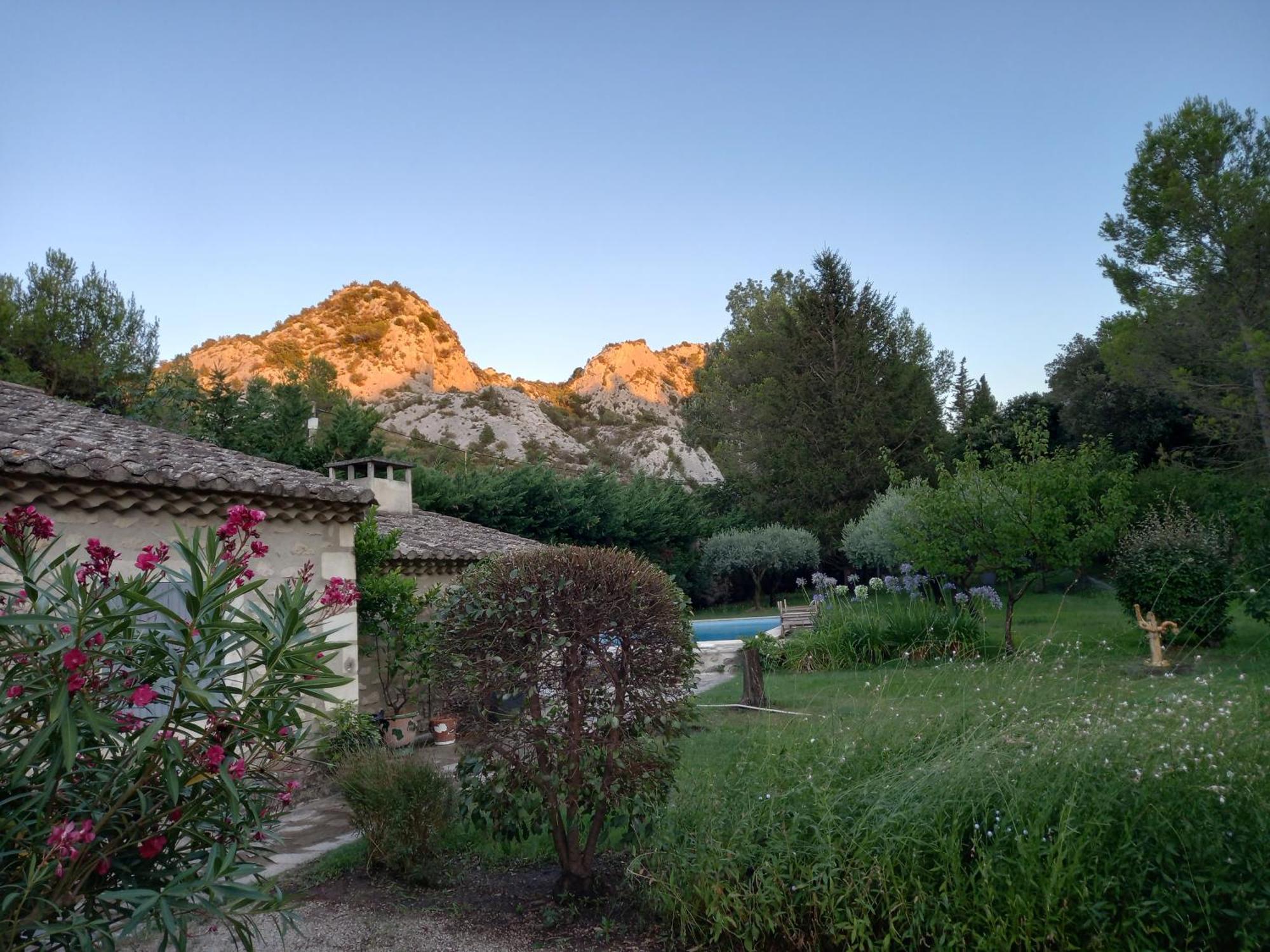 La Roulotte Du Petit Paradis Saint-Rémy-de-Provence 外观 照片