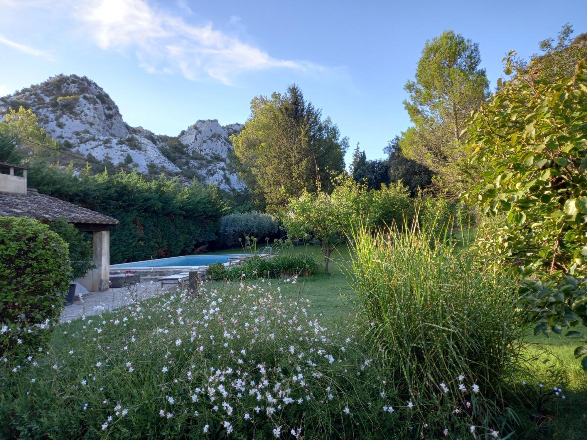 La Roulotte Du Petit Paradis Saint-Rémy-de-Provence 外观 照片