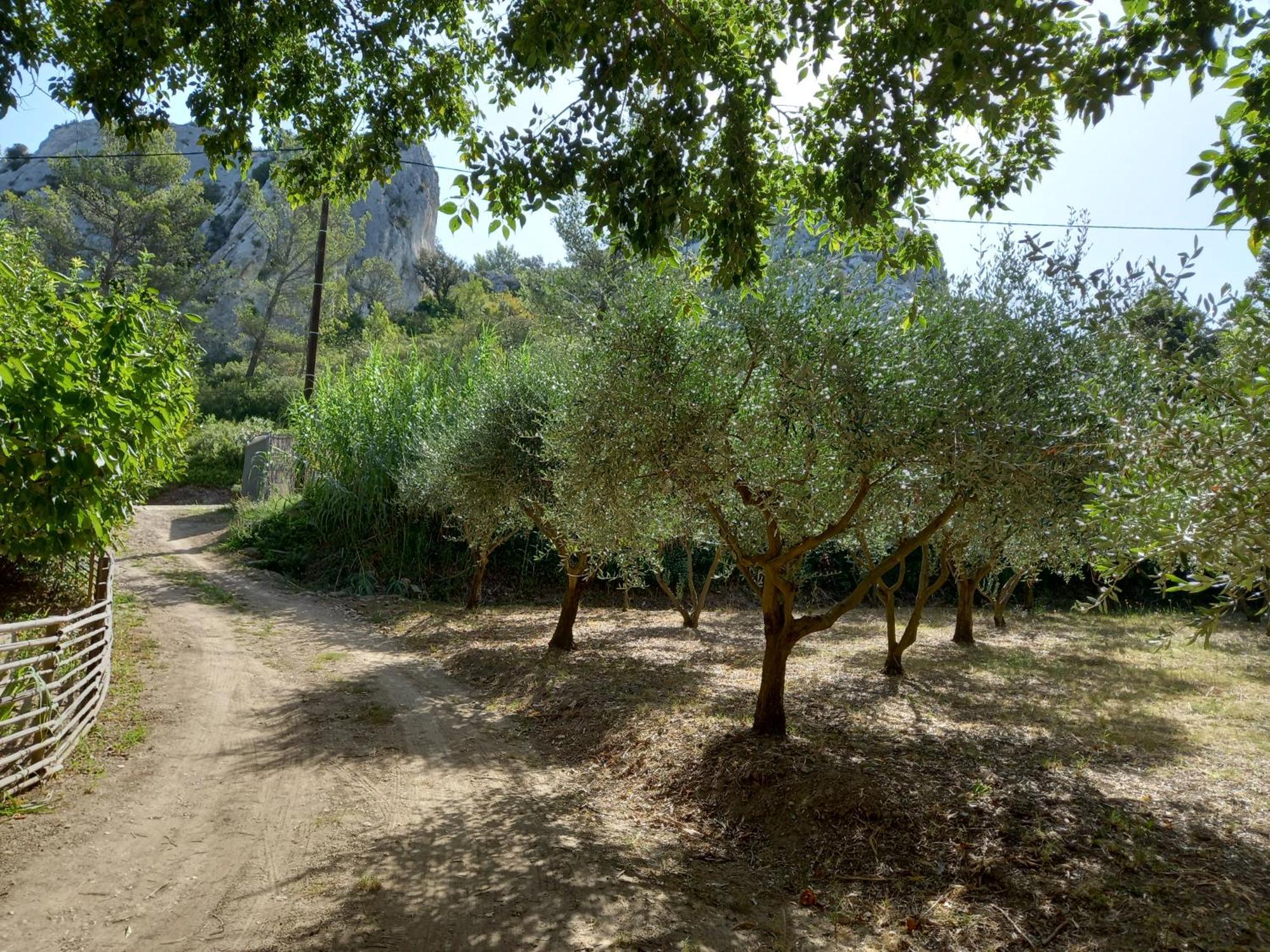 La Roulotte Du Petit Paradis Saint-Rémy-de-Provence 外观 照片