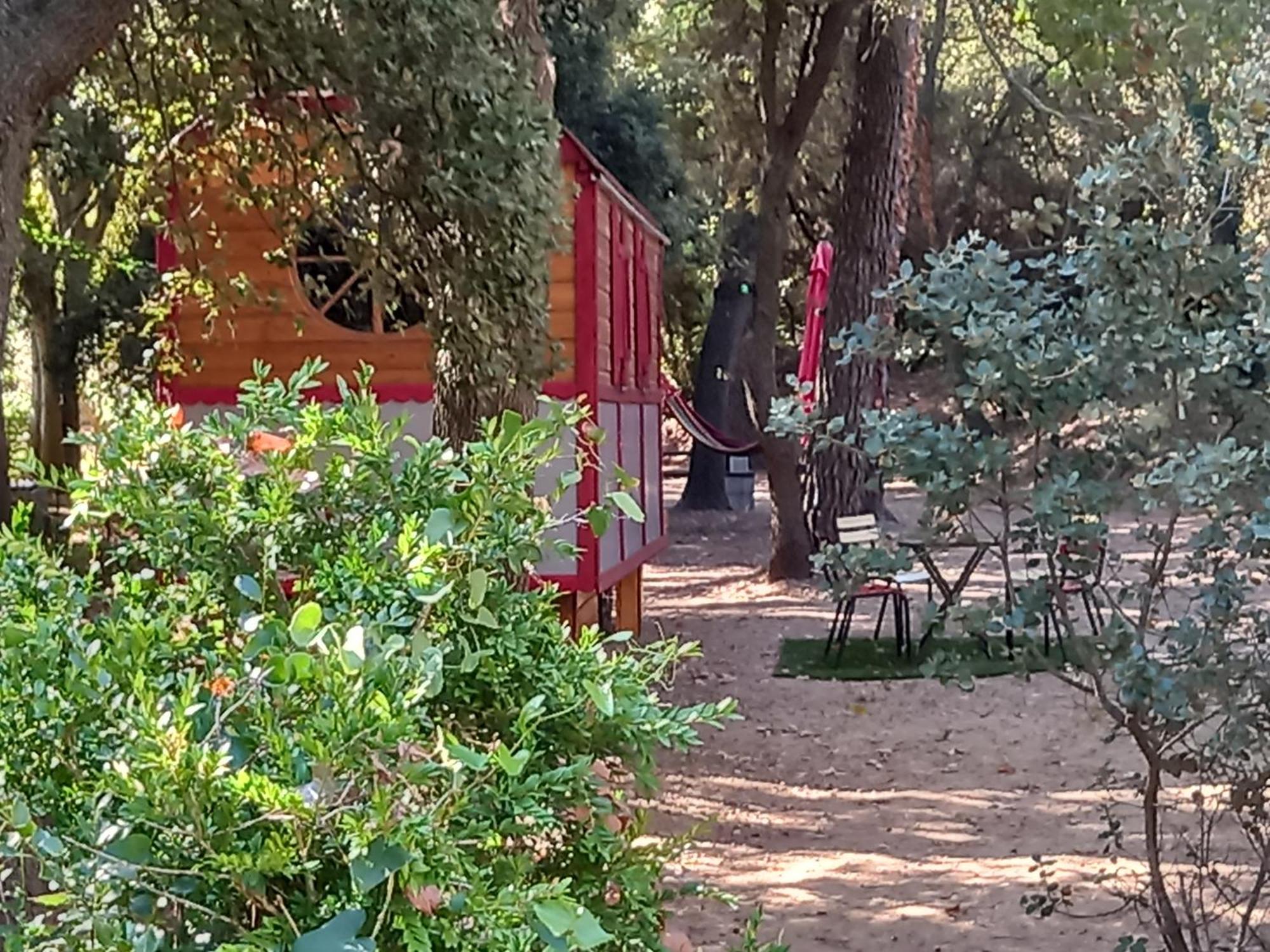 La Roulotte Du Petit Paradis Saint-Rémy-de-Provence 外观 照片