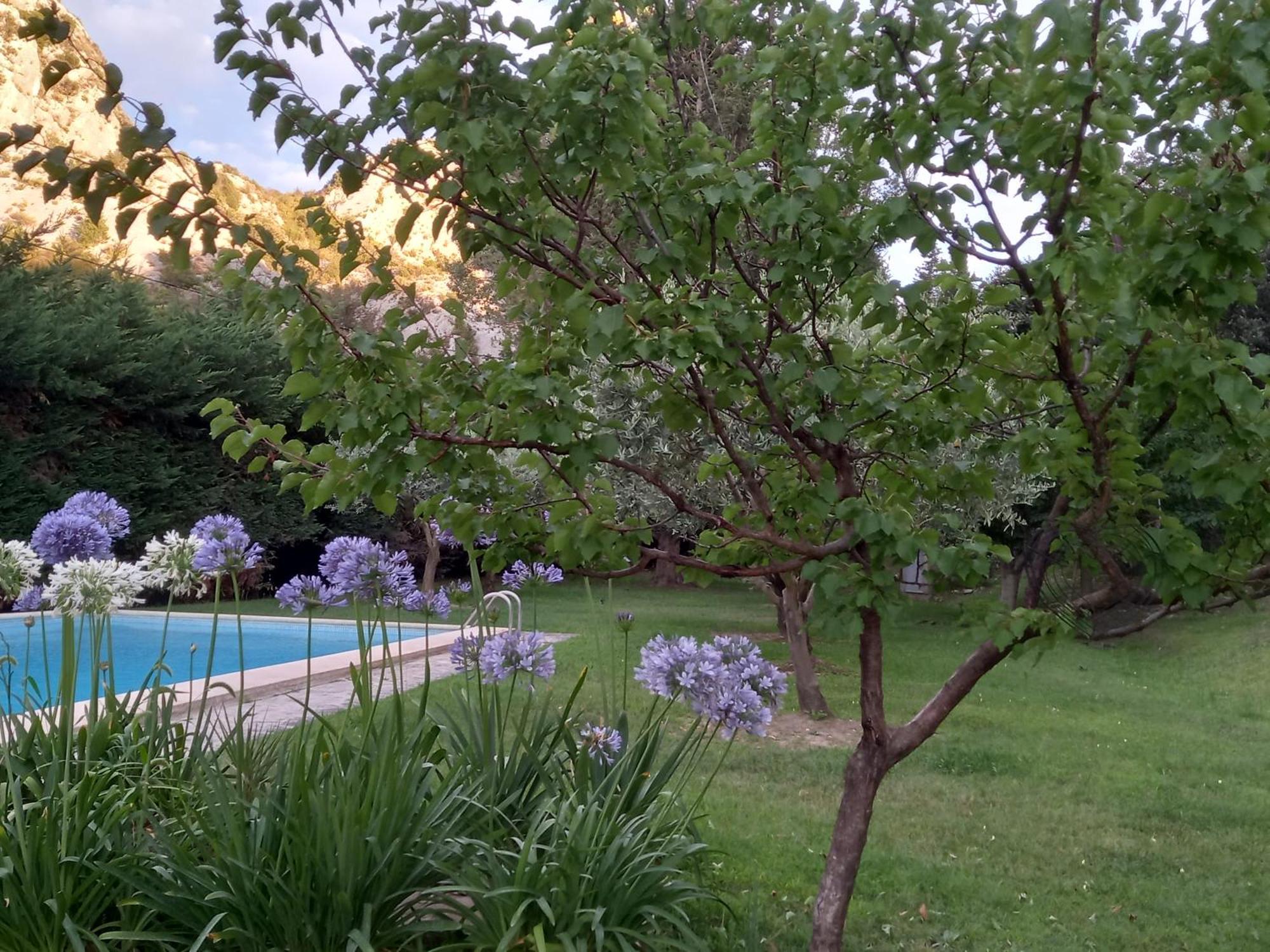 La Roulotte Du Petit Paradis Saint-Rémy-de-Provence 外观 照片